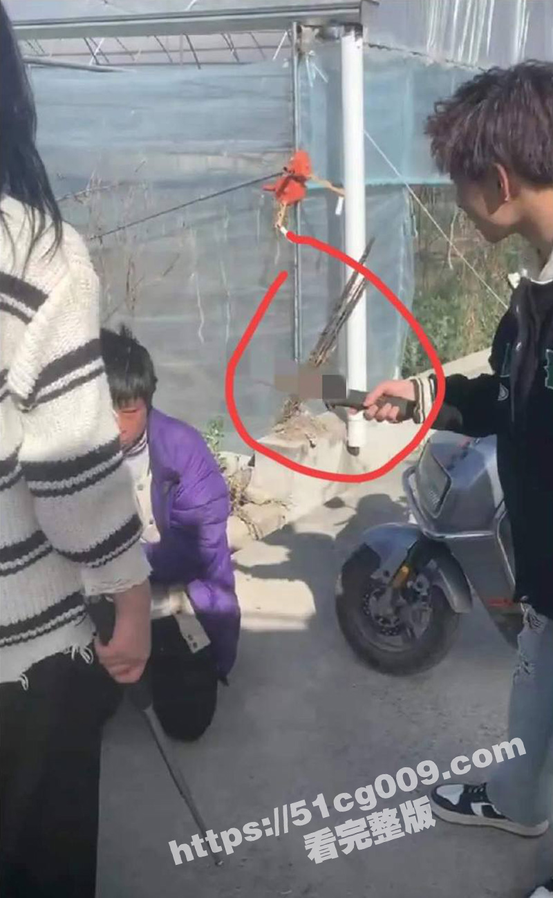 古惑仔看多了吧！四川冕宁 女孩纠集多人围殴霸凌男孩 长达8分钟殴打视频流出！ - 51吃瓜网-51吃瓜网