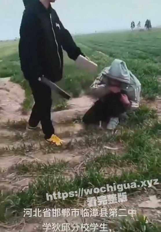 河北邯郸再发生学生霸凌事件 还是三个人打一个人 板砖砸后脑勺 招招往死里打-51吃瓜网