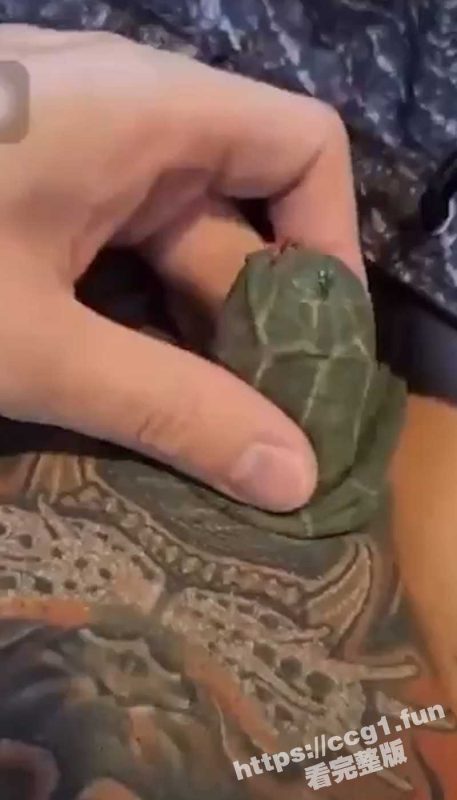 真正的龟头！第一次见纹身纹了整个屌 还为小屌做了一个龟头造型 甚至还有眼睛！-51吃瓜网
