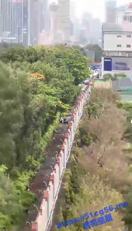 户外打野王！好家伙性欲来了哪里都是战场 个个都是牛人 都是一等一的野王啊！-51吃瓜网