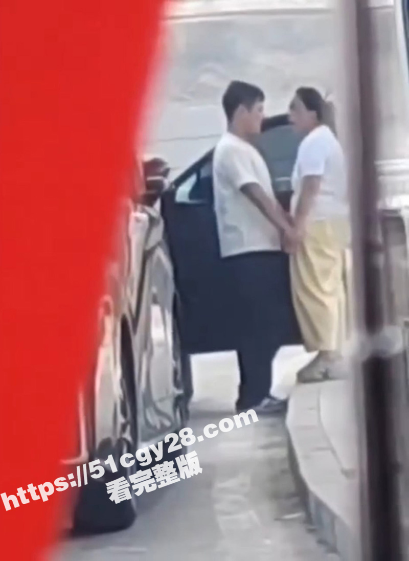 上海浦东机场路边 年轻小伙跟老阿姨缠绵时刻被偷拍 我觉得这个埃尔法我也能坐！ - 51吃瓜网-51吃瓜网