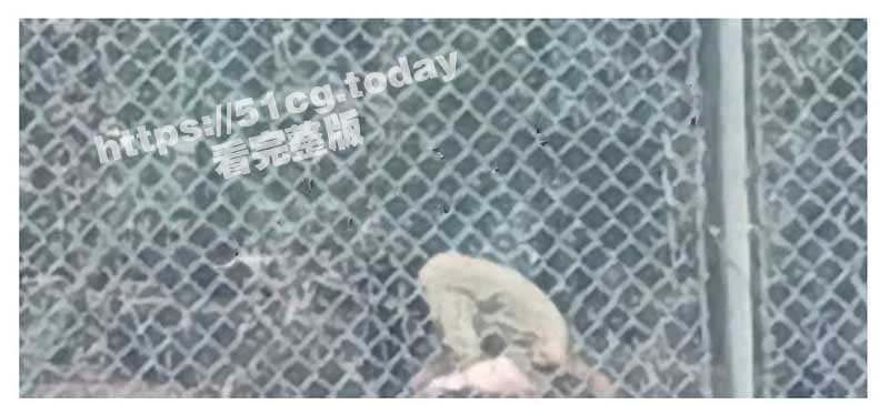 大学生情侣从天亮干到天黑！山东工程职业技术大学情侣操场上啪啪视频曝光全网疯传！-51吃瓜网