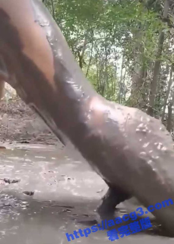 见过逆天印度阿三日天日地日空气的 你见过三哥掏出老二稀泥坑里对着泥巴一顿插的嘛？-51吃瓜网