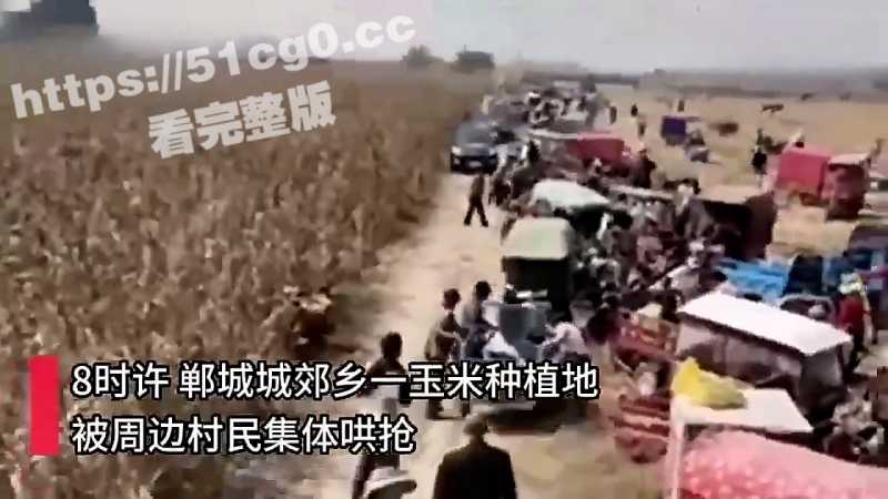 河南省周口市郸城郊乡 500多村民集体哄抢粮食事件 无地农民 从捡演变成哄抢 公安出动特警维持秩序 - 51吃瓜网-51吃瓜网